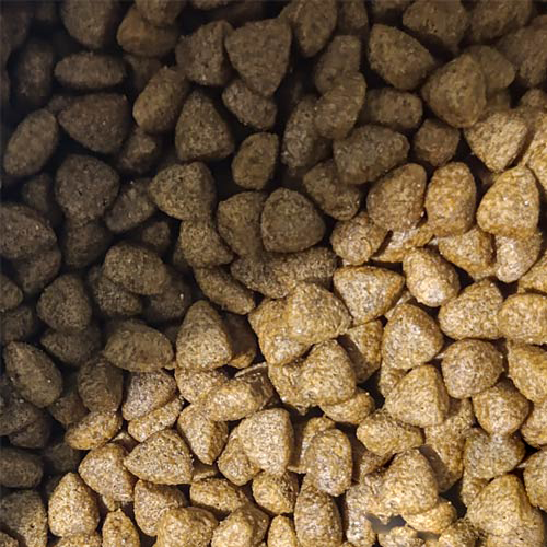 غذای خشک فیدار پاتیرا گربه بالغ یک کیلویی