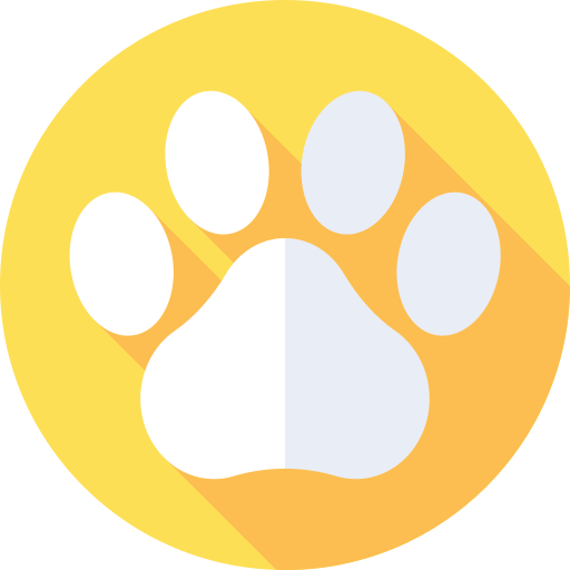feature-image